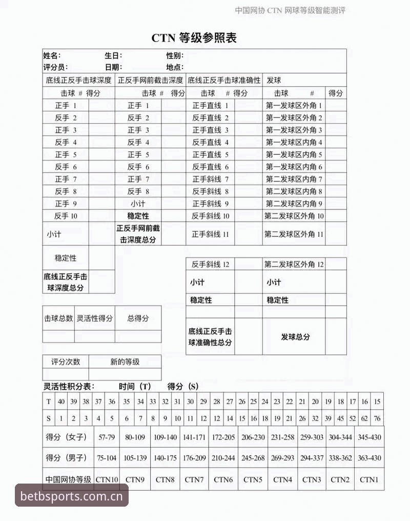 b体育平台安全性深度评测
